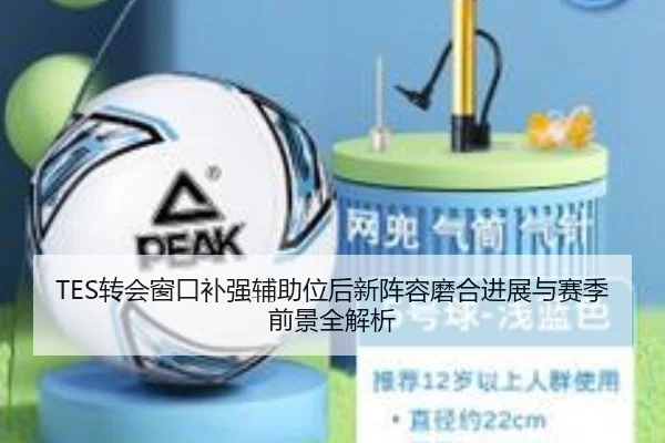 TES转会窗口补强辅助位后新阵容磨合进展与赛季前景全解析（KAIYUN）